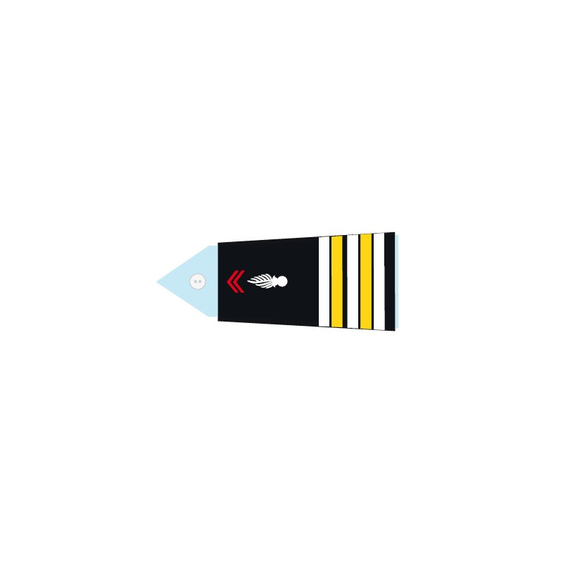 Fourreaux Pompier - Lieutenant colonel (Femme)