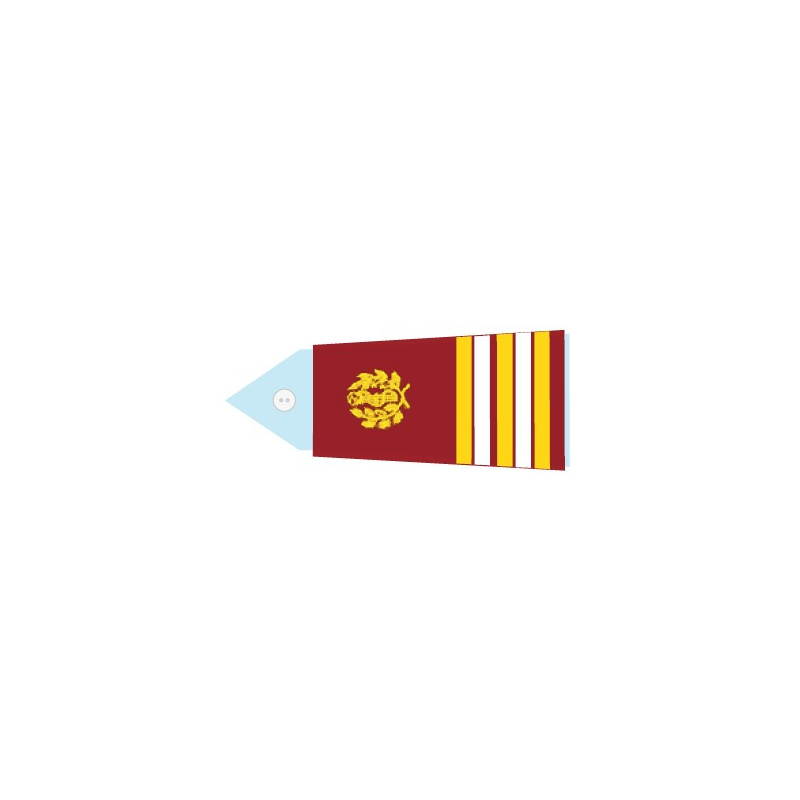 Fourreaux Pompier - Médecin lieutenant colonel (Homme)