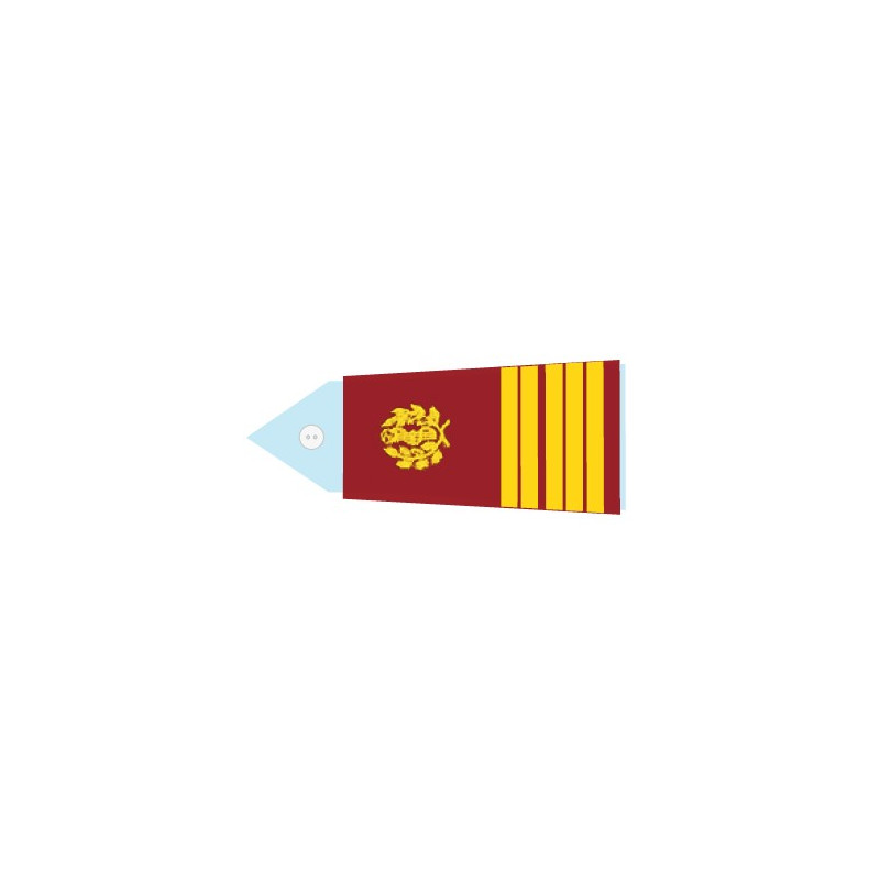 Fourreaux Pompier - Médecin colonel (Homme)