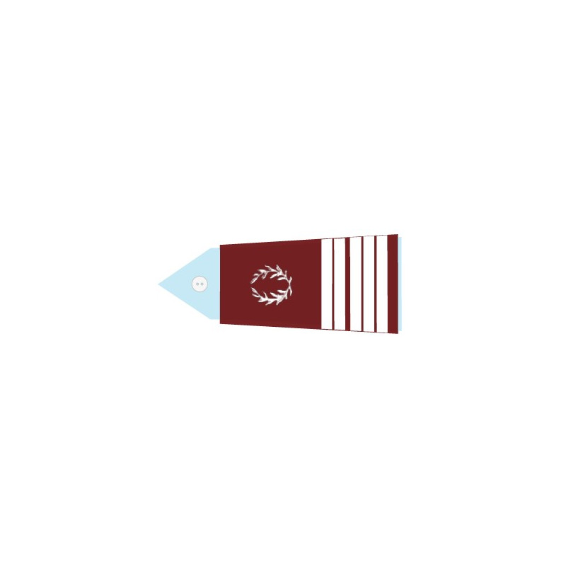 Fourreaux Pompier - Vétérinaire colonel (Homme)