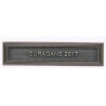 Agrafe pour barrette Ouragans 2017