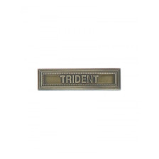 Agrafe pour barrette Trident