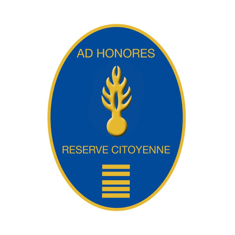 Galon de poitrine GAV - Brigadier-Chef
