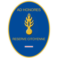Insigne de la réserve...