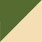 Bariolé TE (45)